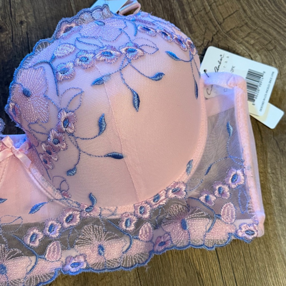 Carrie Amber Intimates Pink Blue Floral Embroidered Bra Coquette Victorian 38D - Picture 3 of 10